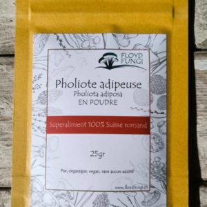 Poudre de Pholiota adiposa