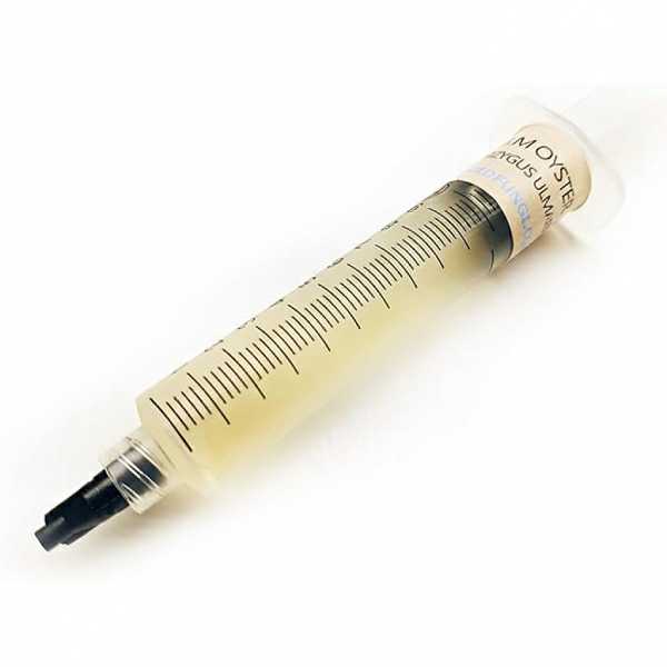 seringue de mycélium