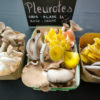 Champignons frais - Pleurotes
