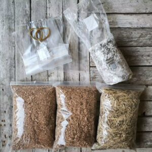 Kits DIY de champignons